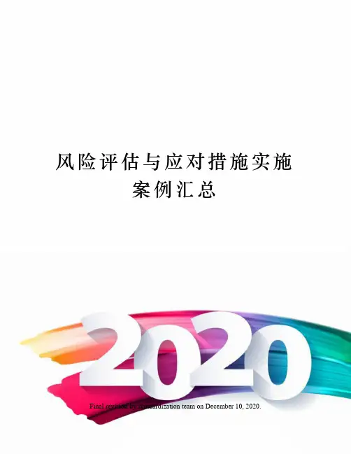 风险评估与应对措施实施案例汇总 2