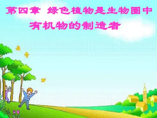 初中生物七年级上册第四章_绿色植物是生物圈中有机物的制造者6