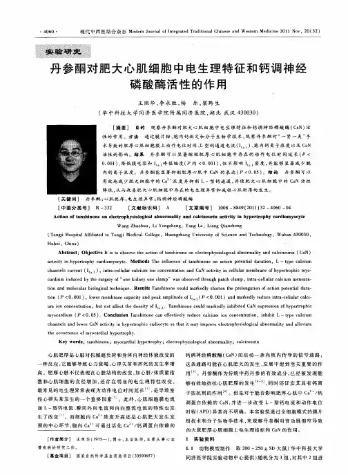 丹参酮对肥大心肌细胞中电生理特征和钙调神经磷酸酶活性的作用