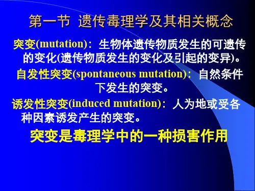 最新中药致突变作用主题讲座课件