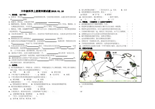 六年级科学期末测试题及答案