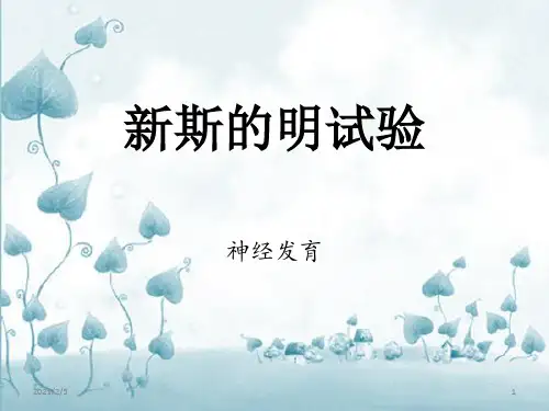 新斯的明试验 ppt课件