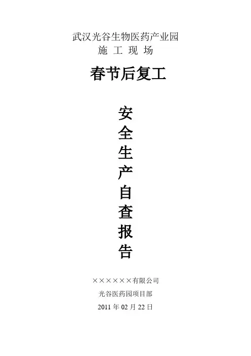 春节后复工安全生产自查报告 2