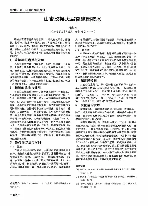 山杏改接大扁杏建园技术