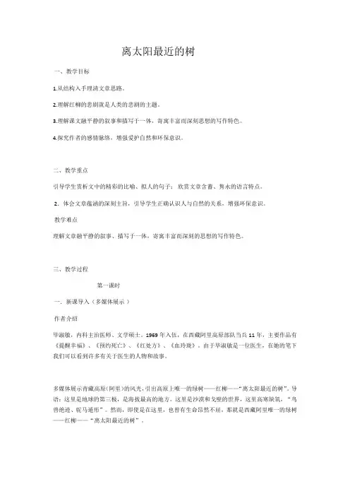 离太阳最近的树 教案