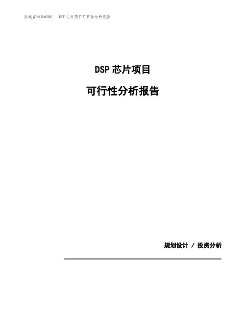 DSP芯片项目可行性分析报告(模板参考范文)