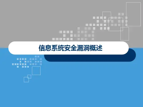 信息系统安全漏洞概述