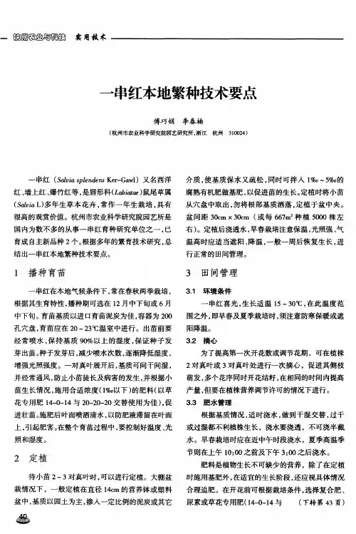 一串红本地繁种技术要点