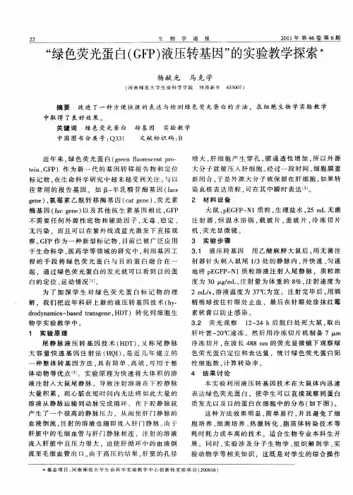 “绿色荧光蛋白(GFP)液压转基因”的实验教学探索