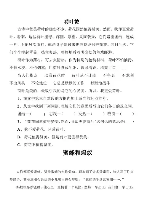 荷叶赞