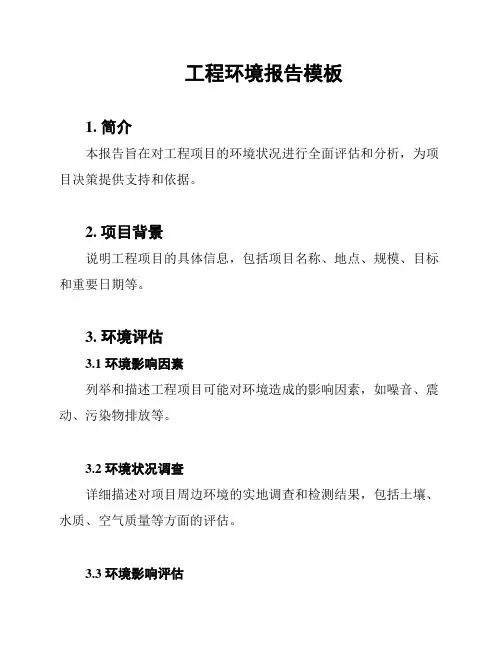 工程环境报告模板