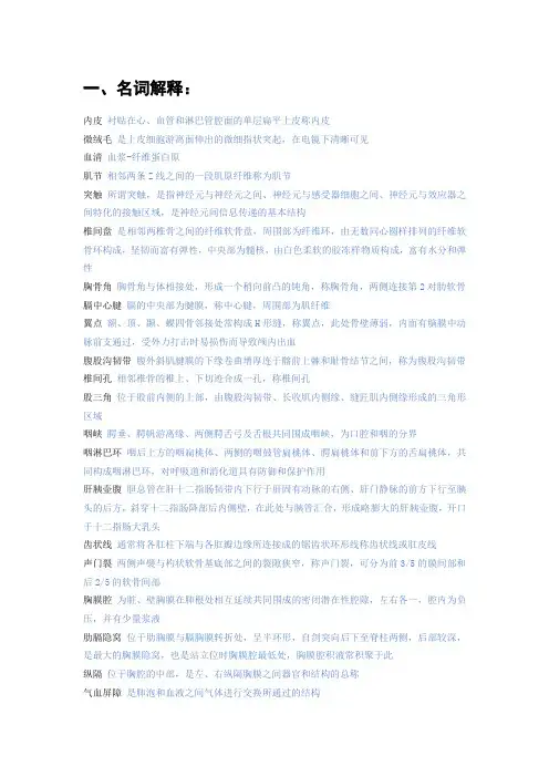 人体形态学复习资料汇总