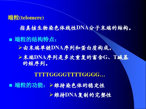Transcription 1