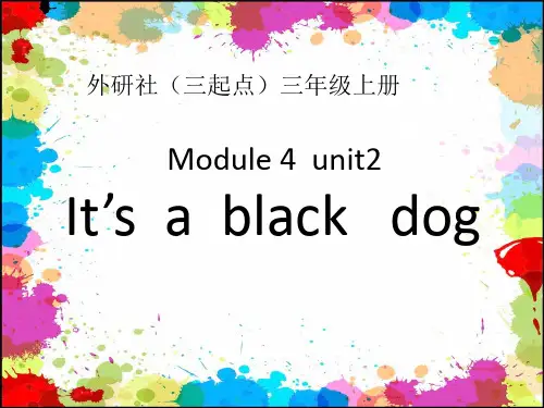 M4U2It’s  a  black   dog