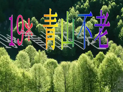 六年级语文上册课件-19.青山不老10-部编版