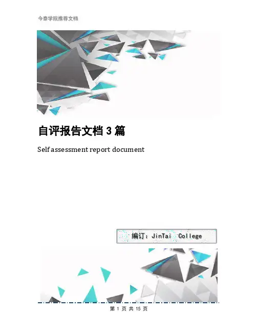 自评报告文档3篇