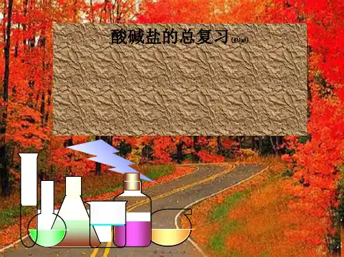 九年级化学《酸碱盐的总复习》课件