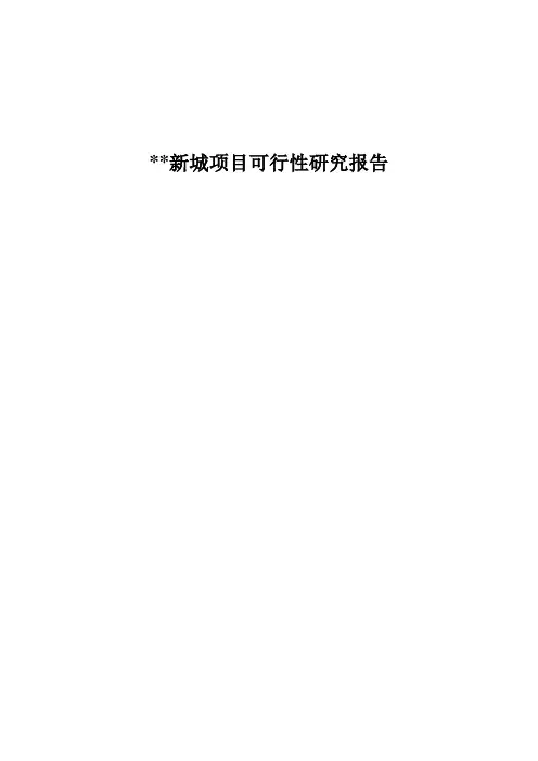 新城开发项目可行性研究报告