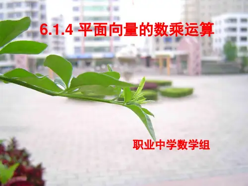 平面向量的数乘运算PPT课件