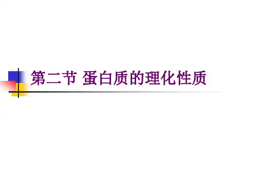 蛋白质的理化性质