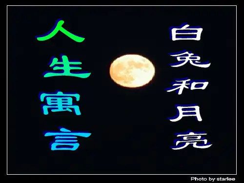 白兔和月亮PPT课件