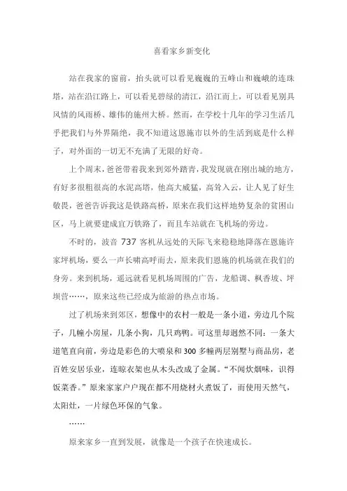 喜看家乡新变化 2