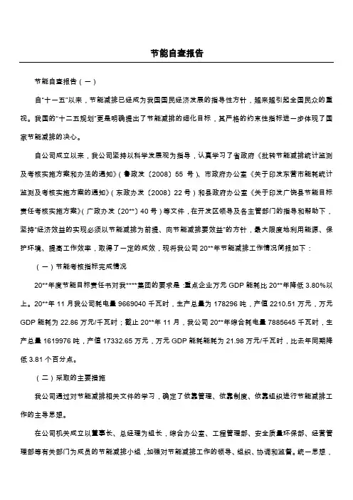 节能自查报告 2