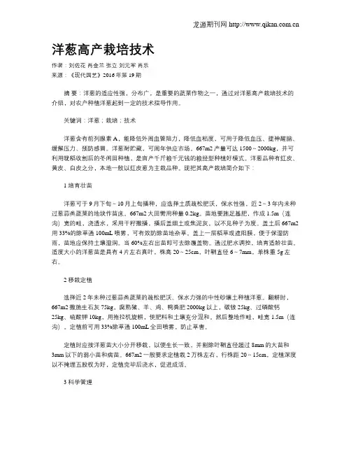 洋葱高产栽培技术
