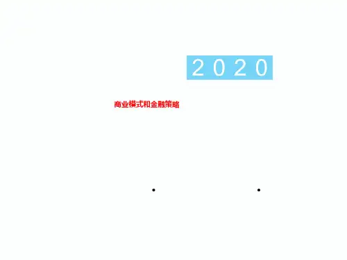 商业模式和金融策略