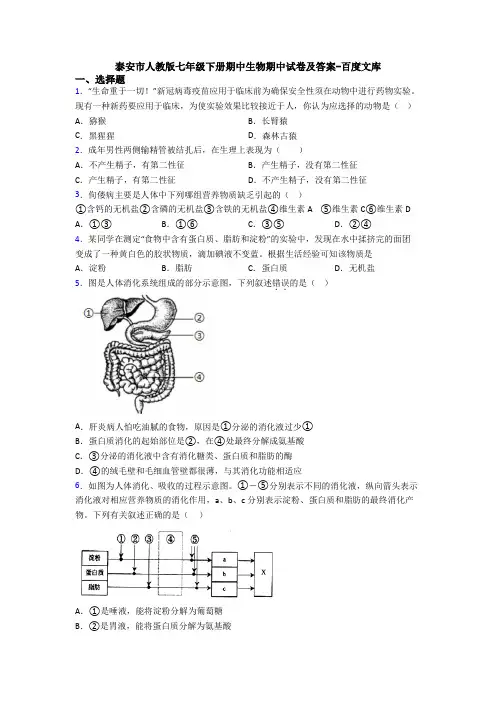 泰安市人教版七年级下册期中生物期中试卷及答案-百度文库