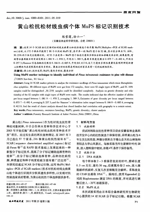 黄山松抗松材线虫病个体MuPS标记识别技术