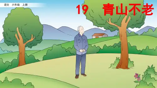 部编版小学语文六年级上册第19课《青山不老》优秀课件