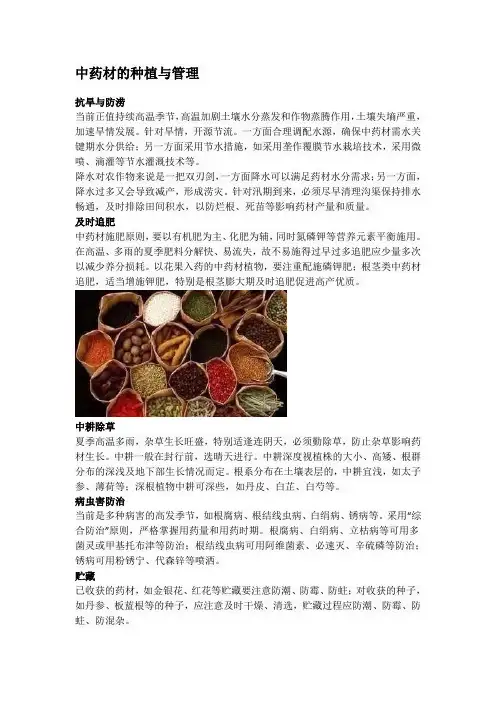 中药材的种植与管理
