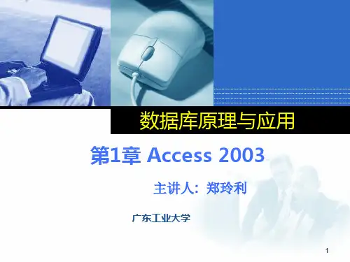第1章 Access 2003(2010)