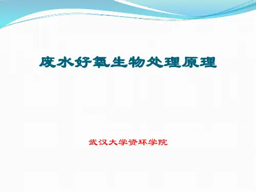 废水好氧生物处理原理(经典版)