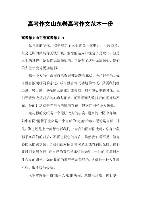 高考作文山东卷高考作文范本一份