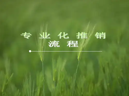 专业化推销流程A