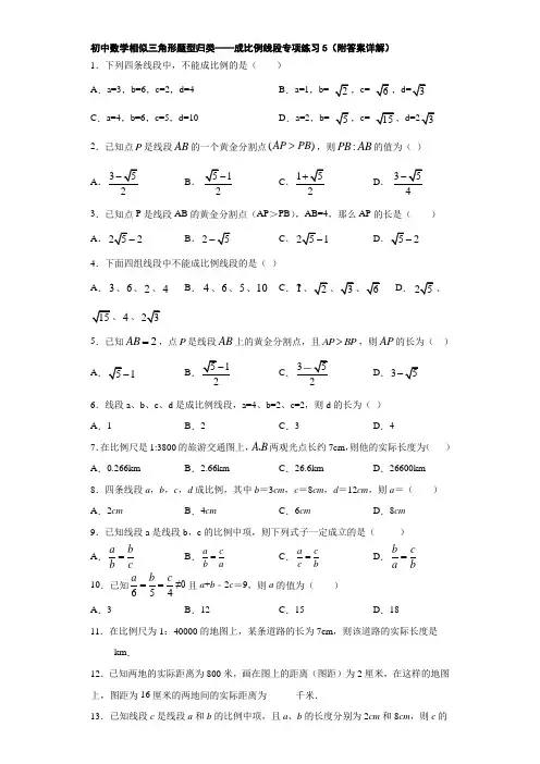 初中数学相似三角形题型归类——成比例线段专项练习5(附答案详解)