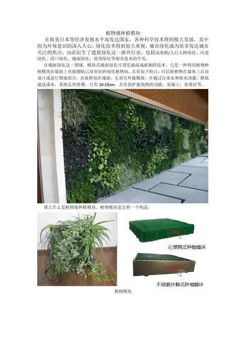 植物墙种植模块