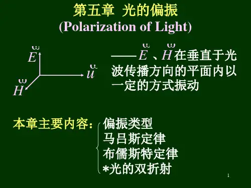 光的偏振