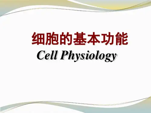 细胞膜的物质转运功能课件