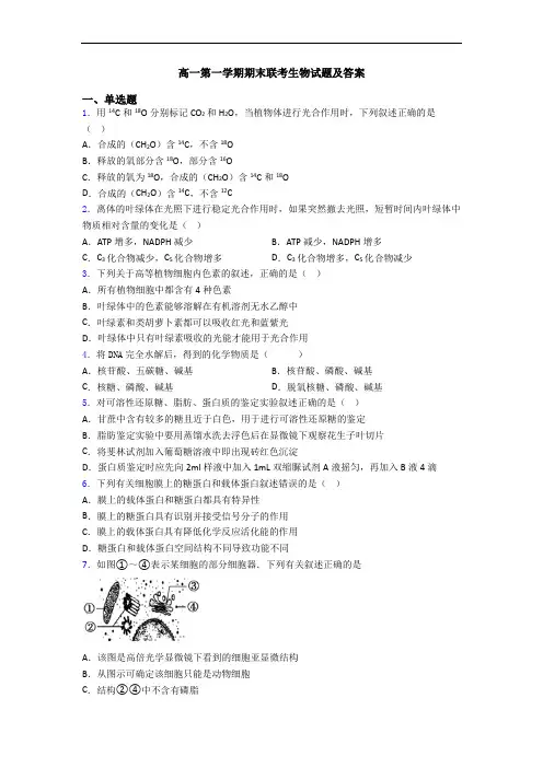 高一第一学期期末联考生物试题及答案