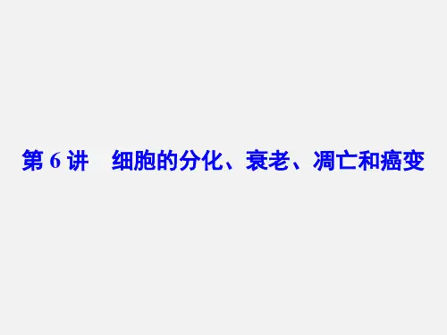 高考生物 二轮复习 专题讲练突破 专题3 第6讲 细胞的分化、衰老、凋亡和癌变