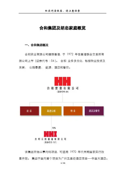 合和集团及胡忠家庭概览130125
