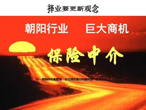 保险中介代理的优势24页