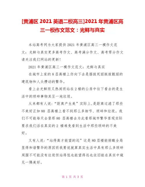 [黄浦区2021英语二模高三]2021年黄浦区高三一模作文范文：光鲜与真实