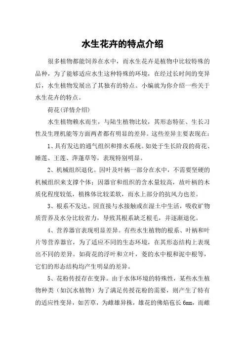 水生花卉的特点介绍