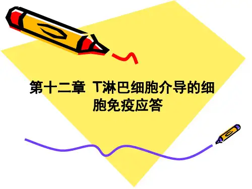 (人卫5版医学免疫学)第十二章 T淋巴细胞介导的细胞免疫应答