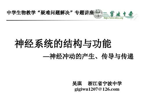 动作电位的产生机制
