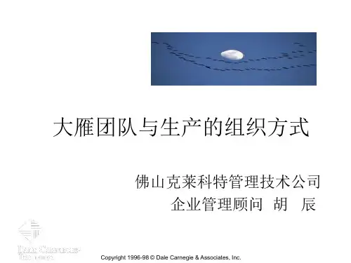 5大雁团队与生产组织方式